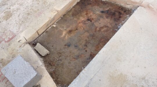 The Truth Was Under The Concrete